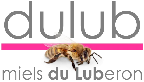 Dulub